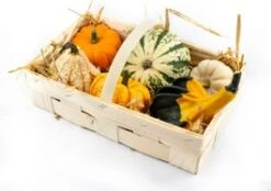 Aardbeienmandje Met Kalebassen (Cucurbita)