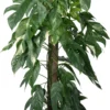 Drakenklimop Op Duurzame Klimstok (Epipremnum Pinnatum 'Albo Variegata') D 24 H 125 Cm -Tuinplanten Winkel 8720196798247 scaled