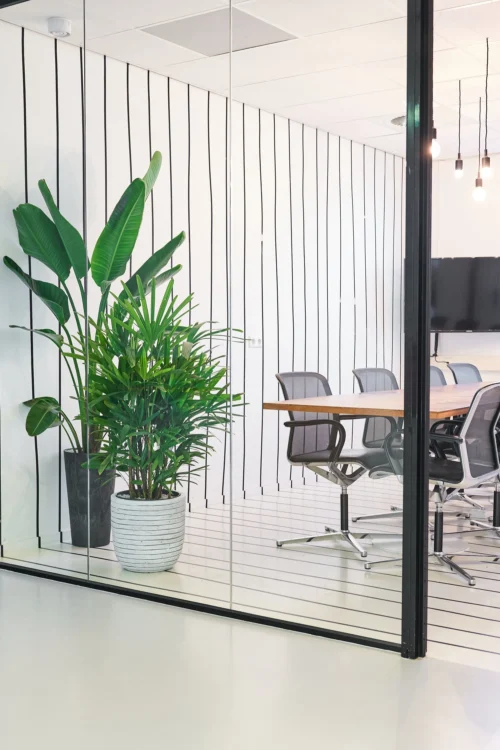 Bamboepalm (Rhapis Excelsa) D 30 H 140 Cm -Tuinplanten Winkel 8720256488903 33