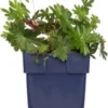 Ooievaarsbek (Geranium 'Azure Rush') D 9 H 15 Cm -Tuinplanten Winkel 8720879235755 0