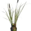 Lampenpoetsersgras (Pennisetum Alopecuroides 'Viridescens') D 28 H 60 Cm