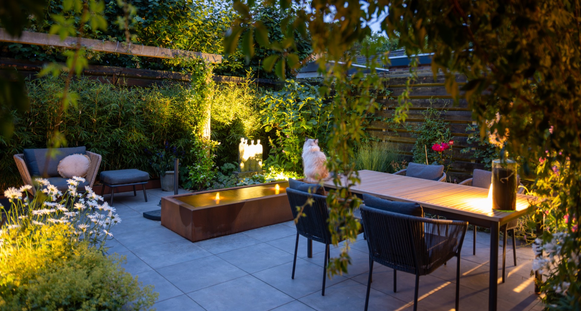 Tuinplanten Winkel -Tuinplanten Winkel John Koomen 2025. 2 w1920